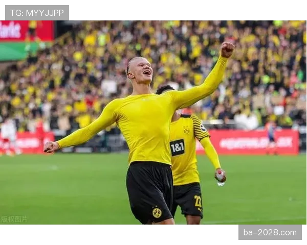 凯恩与哈兰德：终结效率差异与战术角色适配性解析